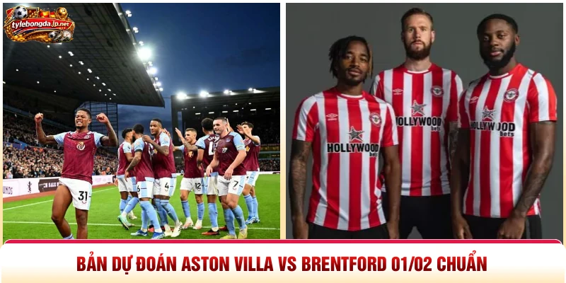 Bản dự đoán Aston Villa vs Brentford 01/02 chuẩn