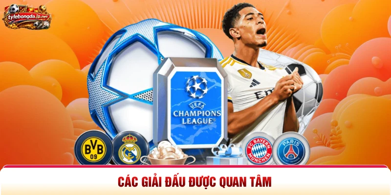 Các giải đấu được quan tâm 
