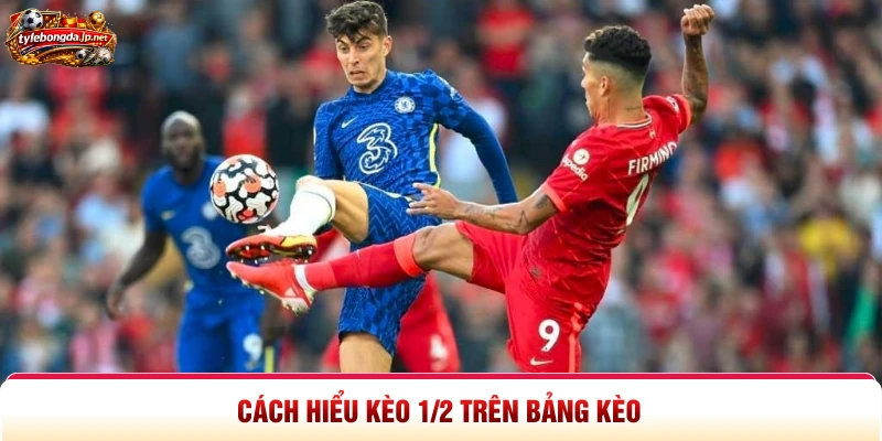 Cách hiểu kèo 1/2 trên bảng kèo